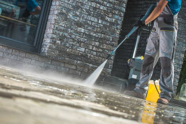 Best Roof Washing  in Upper Grand Lagoon, FL