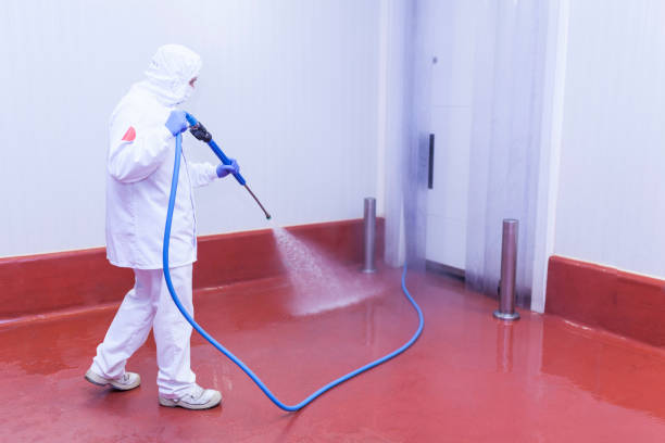 Best House Exterior Washing  in Upper Grand Lagoon, FL