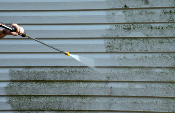 Best Driveway Pressure Washing  in Upper Grand Lagoon, FL